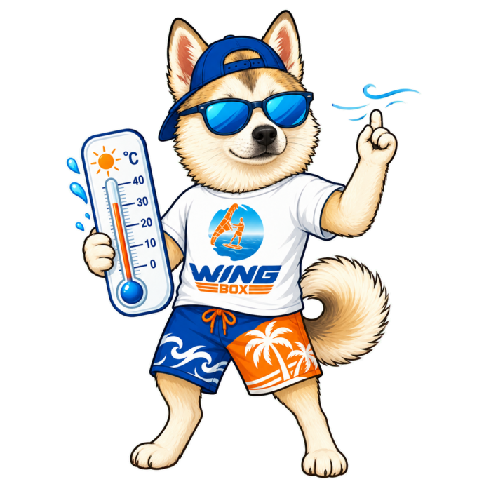 Mascotte Wingbox surfeur